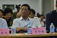 深化林业改革，加快林业治理体系和治理能现代化 丁付林在第十届环境与发展论坛主题峰会上讲话