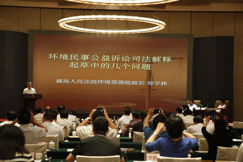 郑学林 最高人民法院