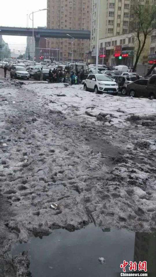 哈尔滨突降冰雹 部分街道冰雹堆积约10厘米高 解培华 摄