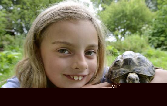 小乌龟走失1年被主人找回 仅爬出1.6公里(图)