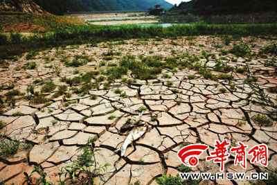 旱灾来袭水库露底(图)
