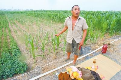 平顶山大旱 为解禾苗干渴村民夜宿地头