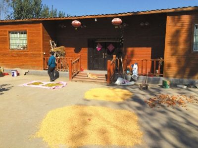 位于黄河滩的郑州高新农业园区里,一户人家过起了都市农场主的生活。新华社发