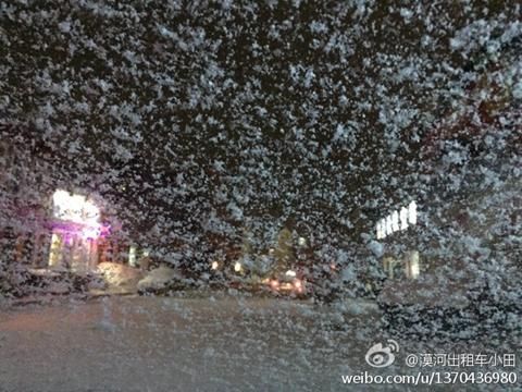昨天,黑龙江漠河雪花飘落。(来源:微博)