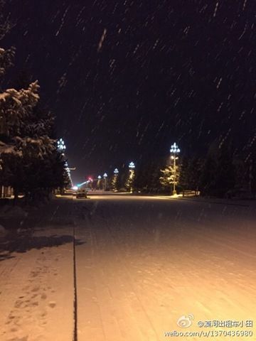 昨天,黑龙江漠河迎来降雪。(来源:微博)