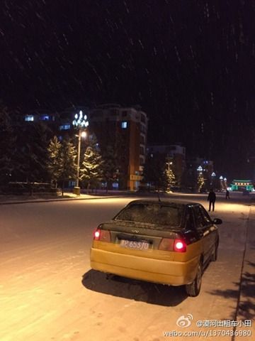 昨天,黑龙江漠河雪花飘落。(来源:微博)