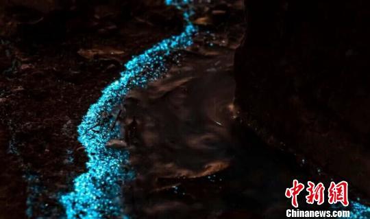 珠海惊现蓝色荧光海滩当地居民齐聚围观(图)